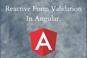 Reactive Form Validation In Angular